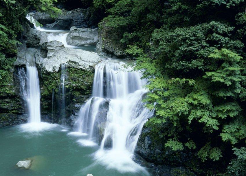 牛油果面包